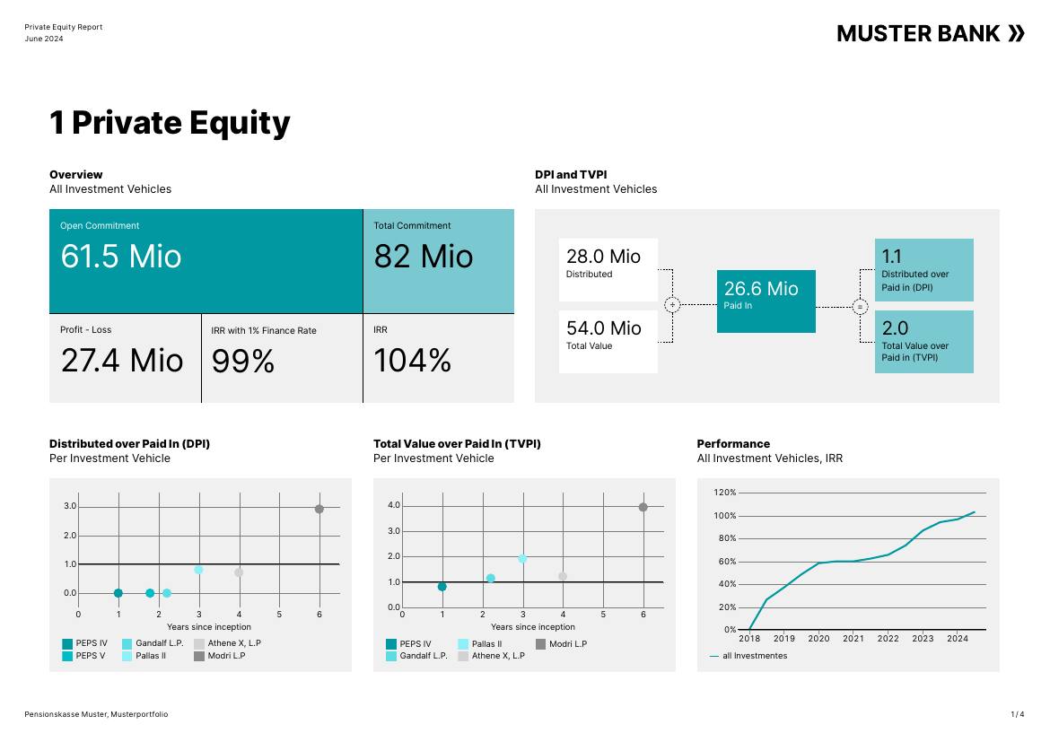 Private-Equity-Report